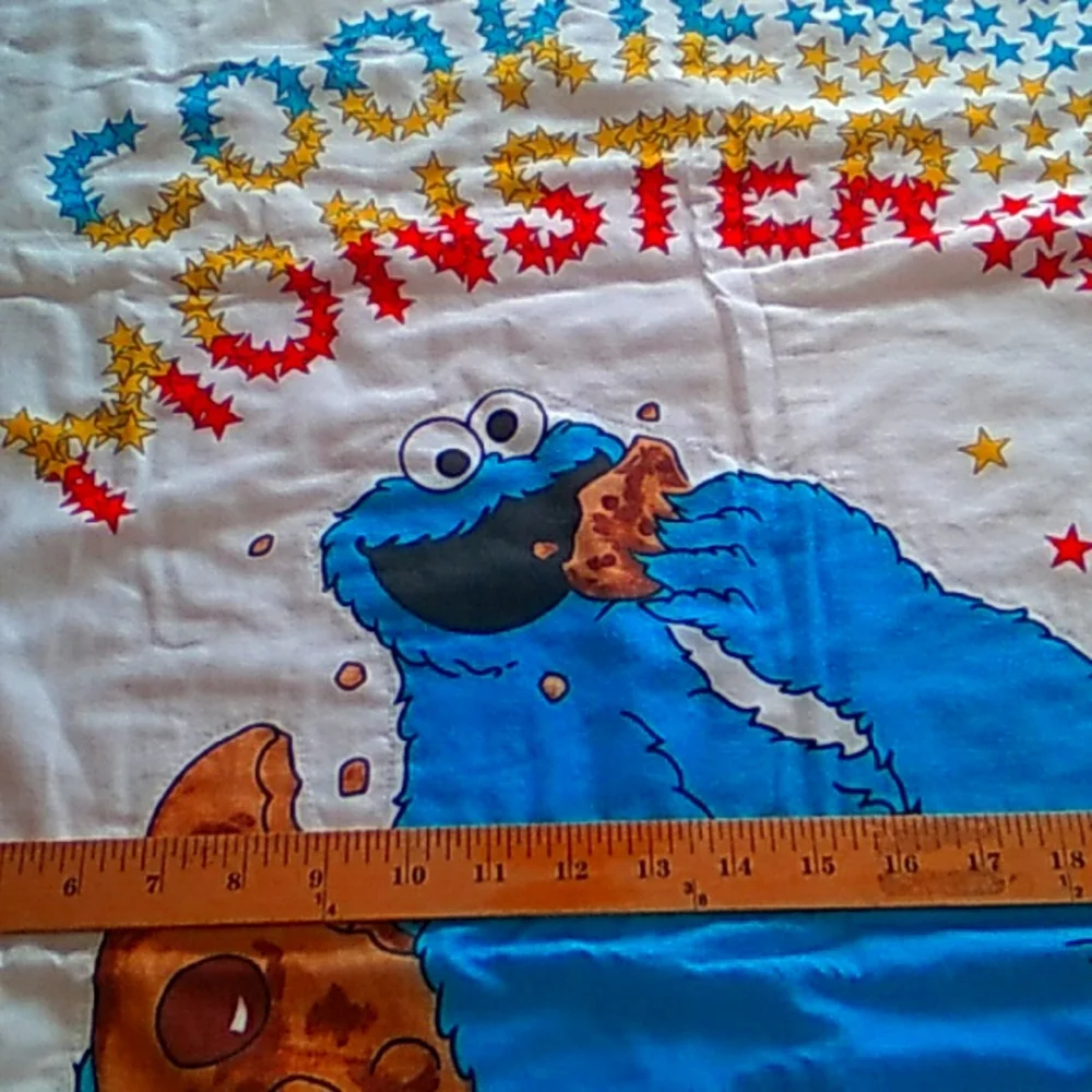 🍪  Cookie Monster FLANNEL BACKING CHILD'S BLANKET Throw 41 X 32 EVC